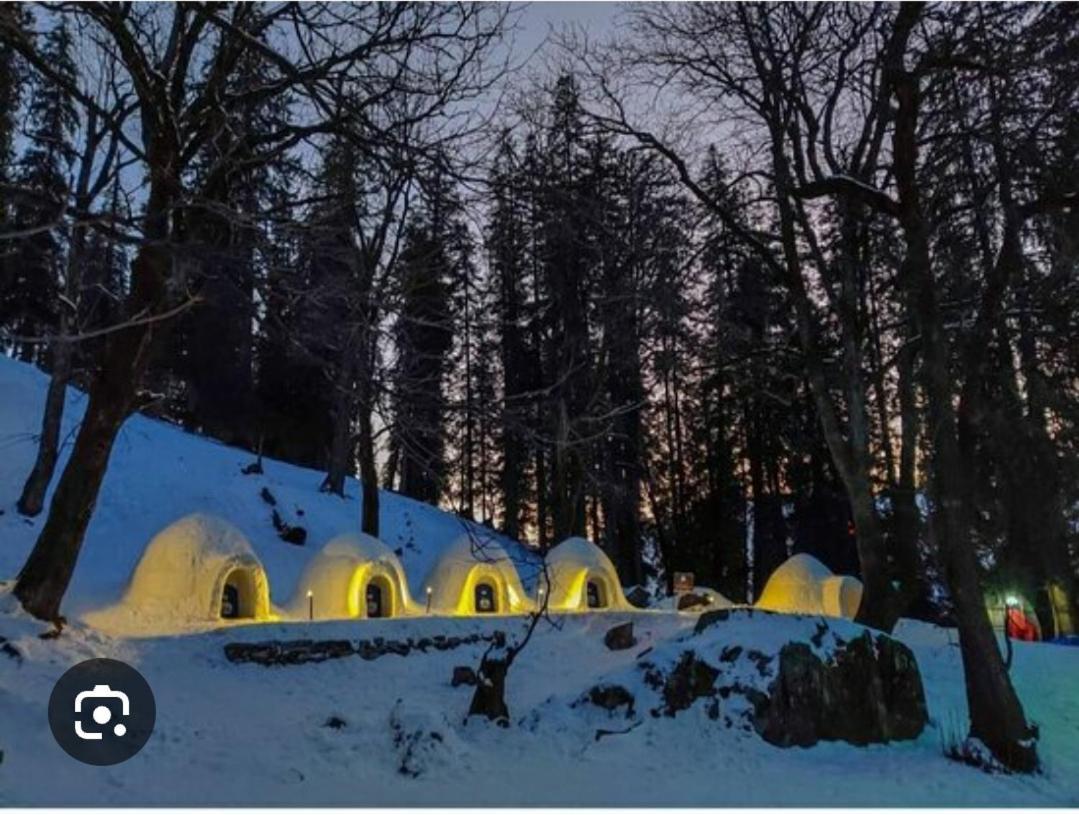Mha Hotel Ever Green Manali — Photos 1